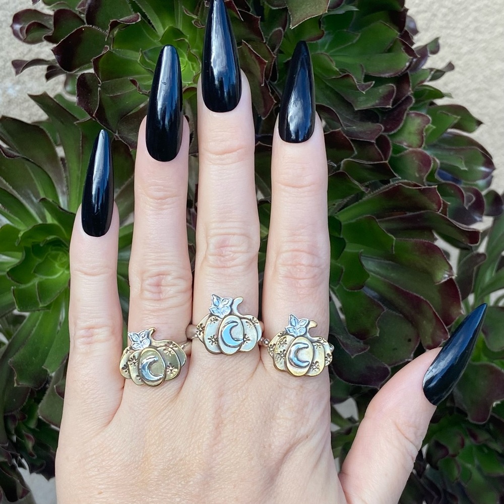 Pumpkin Rings - image 1